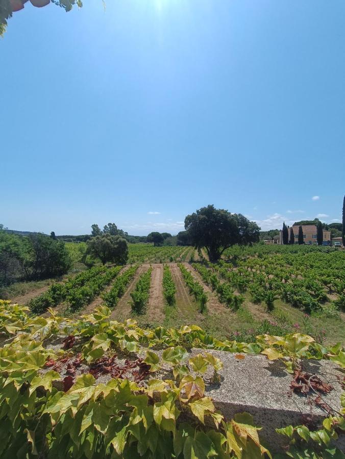 Camp De Base Dei Marres Ξενοδοχείο Ramatuelle Εξωτερικό φωτογραφία