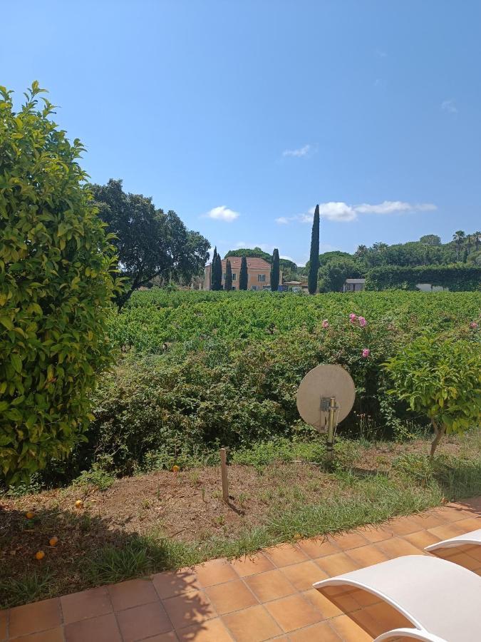 Camp De Base Dei Marres Ξενοδοχείο Ramatuelle Εξωτερικό φωτογραφία